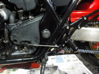 DSCN5445