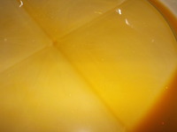 DSCN5241