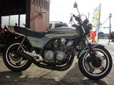 DSCI0132