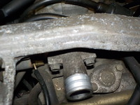 DSCN5150