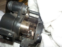 DSCN5885