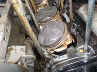 DSCN5446