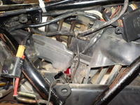 DSCN8649
