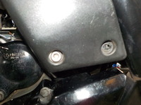DSCN6376