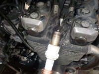 DSCN5422