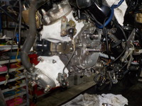 DSCN8209