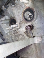 DSCN3658
