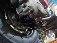 DSCN3374