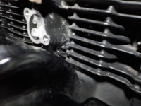DSCN4055