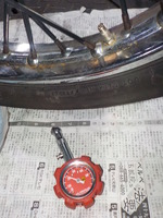 DSCN6484