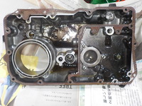 DSCN6273