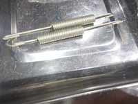 DSCN6884