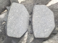 DSCN5955