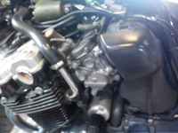 DSCN7282