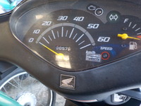 DSCN7204