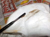 DSCN4901