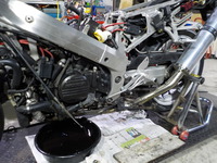 DSCN5410