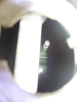 DSCN5735
