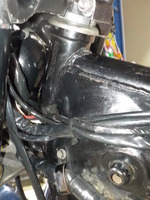 DSCN8173