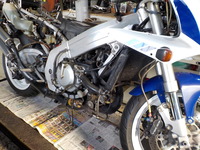 DSCN5617