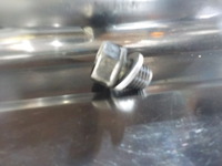DSCN8151