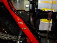 DSCN5631