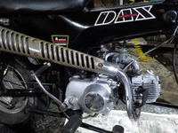DSCN4909