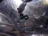 DSCN8162