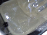 DSCN8608