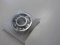 DSCN5270