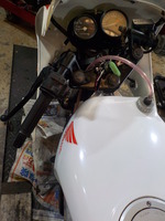 DSCN3529