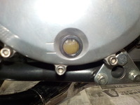DSCN6256