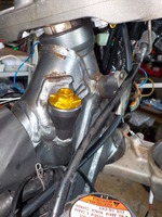 DSCN4464