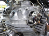 DSCN2409
