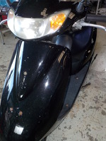 DSCN6266