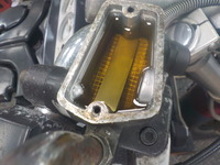 DSCN3506