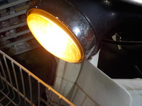 DSCN5188