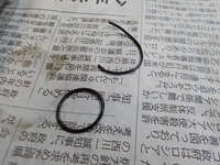 DSCN4979