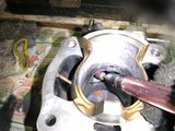 20110731 (11)