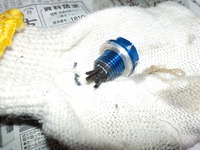 DSCN6481