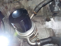 DSCN3853