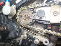 DSCN5769