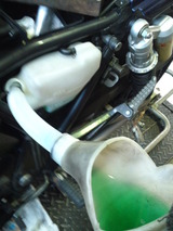 zrx2ws20111113 (19)