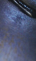 Photo_7