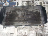 DSCN7508