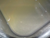 DSCN0982