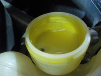DSCN5934
