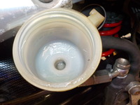 DSCN6384