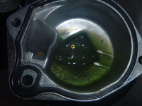P1060098