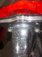 DSCN0229